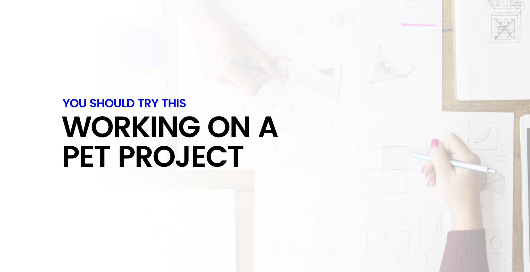 You Should Try This... Working on a Pet Project 13 You Should Try This... Working on a Pet Project 13